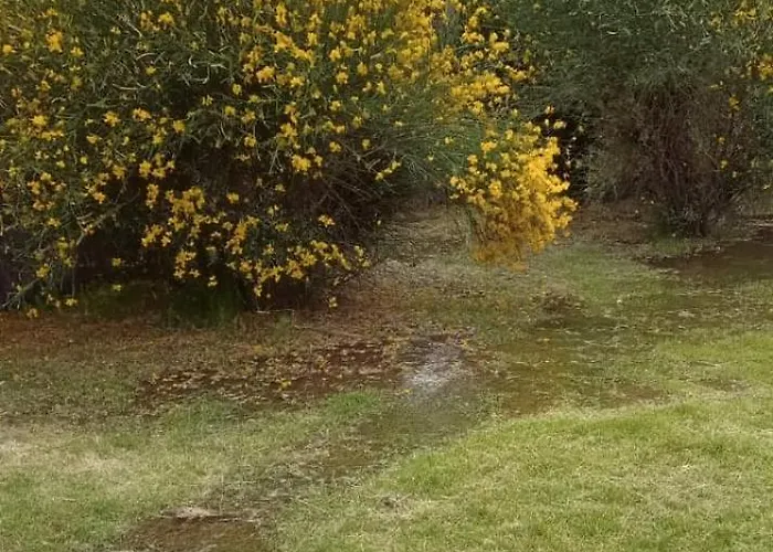 Terrunosdelvalle2